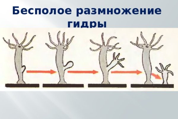 Кракен маркетплейс создатель