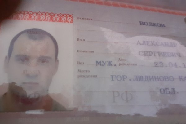 Кракен омг мега