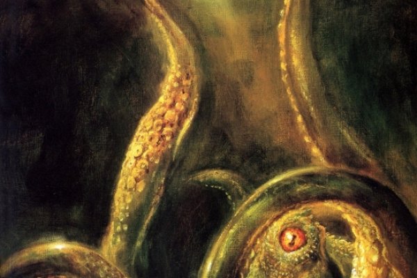 Kraken marketplace