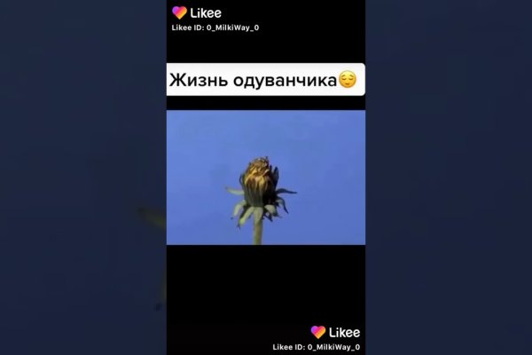 Актуальная ссылка на кракен kraken